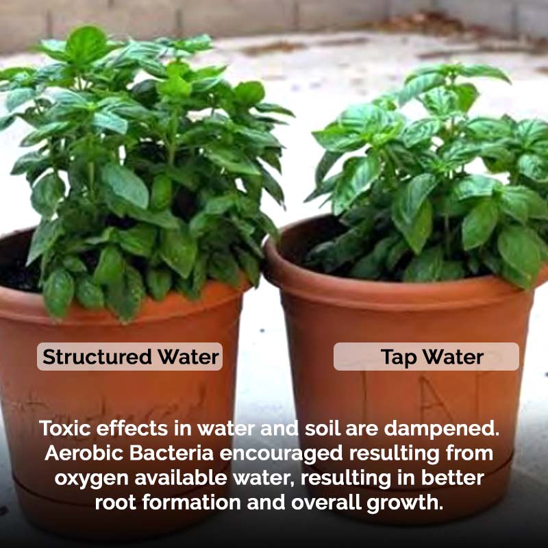 HD-24 Whole Home Structured Water Unit